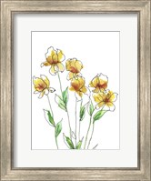 Amber Tulips II Fine Art Print