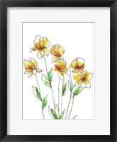 Amber Tulips II Fine Art Print