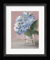 Single Hydrangea I Framed Print