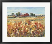 Country View II Framed Print