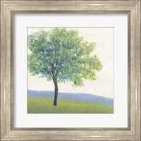 Solitary Tree I Fine Art Print