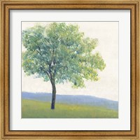 Solitary Tree I Fine Art Print