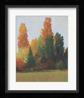 Fall Colors I Fine Art Print