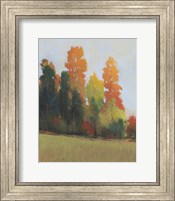 Fall Colors II Fine Art Print
