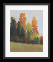 Fall Colors II Fine Art Print