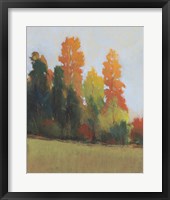 Fall Colors II Fine Art Print