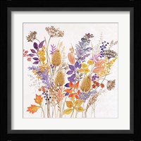Dried Arrangement II Framed Print
