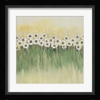 Rows of Flowers I Framed Print