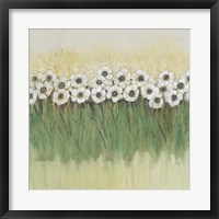 Rows of Flowers II Fine Art Print