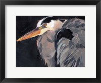 Great Heron II Framed Print