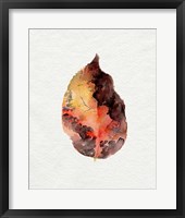 Watercolor Autumn Leaf I Framed Print