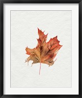 Watercolor Autumn Leaf II Fine Art Print