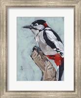 Woodpecker Paintstrokes I Fine Art Print