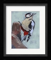 Woodpecker Paintstrokes II Framed Print