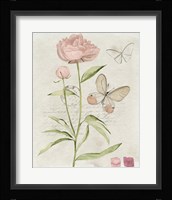 Field Notes Florals II Framed Print