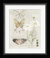 Field Notes Florals IV Framed Print