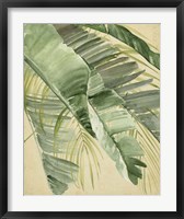 Banana Palms I Fine Art Print