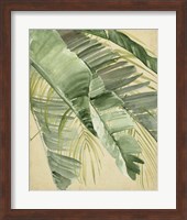 Banana Palms I Fine Art Print