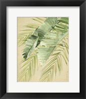 Banana Palms II Fine Art Print