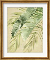 Banana Palms II Fine Art Print