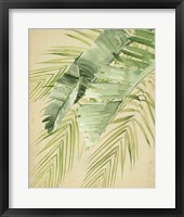 Banana Palms II Framed Print