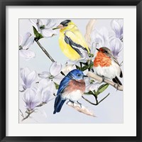 Four Little Birds II Fine Art Print