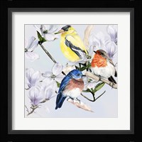 Four Little Birds II Framed Print