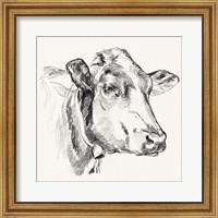 Holstein Portrait Sketch I Fine Art Print