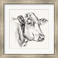 Holstein Portrait Sketch I Fine Art Print