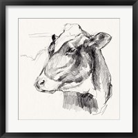 Holstein Portrait Sketch II Fine Art Print