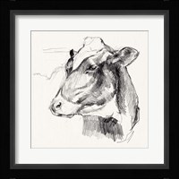 Holstein Portrait Sketch II Framed Print