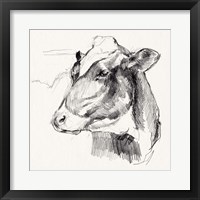 Holstein Portrait Sketch II Framed Print
