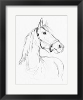 Bridle Portraits II Framed Print