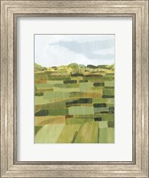 Woven Pasture II Fine Art Print