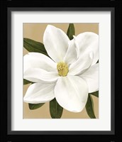 Magnolia on Gold I Framed Print
