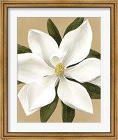 Magnolia on Gold II Fine Art Print