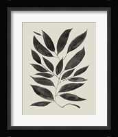 Branched Composition I Framed Print