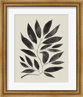Branched Composition II Fine Art Print