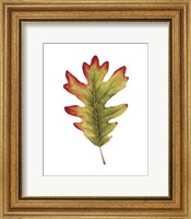 Fall Leaf Study II Fine Art Print