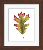 Fall Leaf Study II Fine Art Print