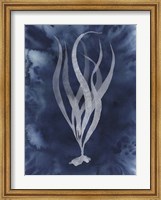 Midnight Kelp I Fine Art Print