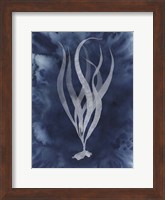 Midnight Kelp I Fine Art Print