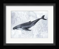 Deep Diver I Framed Print