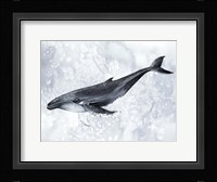 Deep Diver II Framed Print