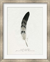 Found Feather I Fine Art Print