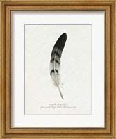 Found Feather I Fine Art Print