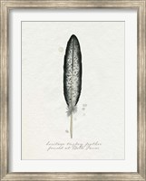 Found Feather II Fine Art Print
