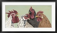 Four Roosters Fine Art Print
