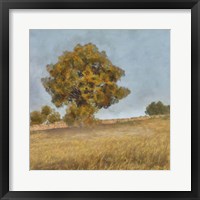 Autumn's Tranquility II Framed Print