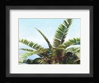 Pleasant Palms I Framed Print